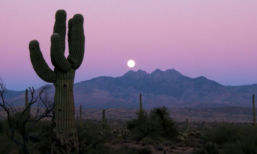 Arizona Regional MLS Flat Fee Listing At Home Desert Realty